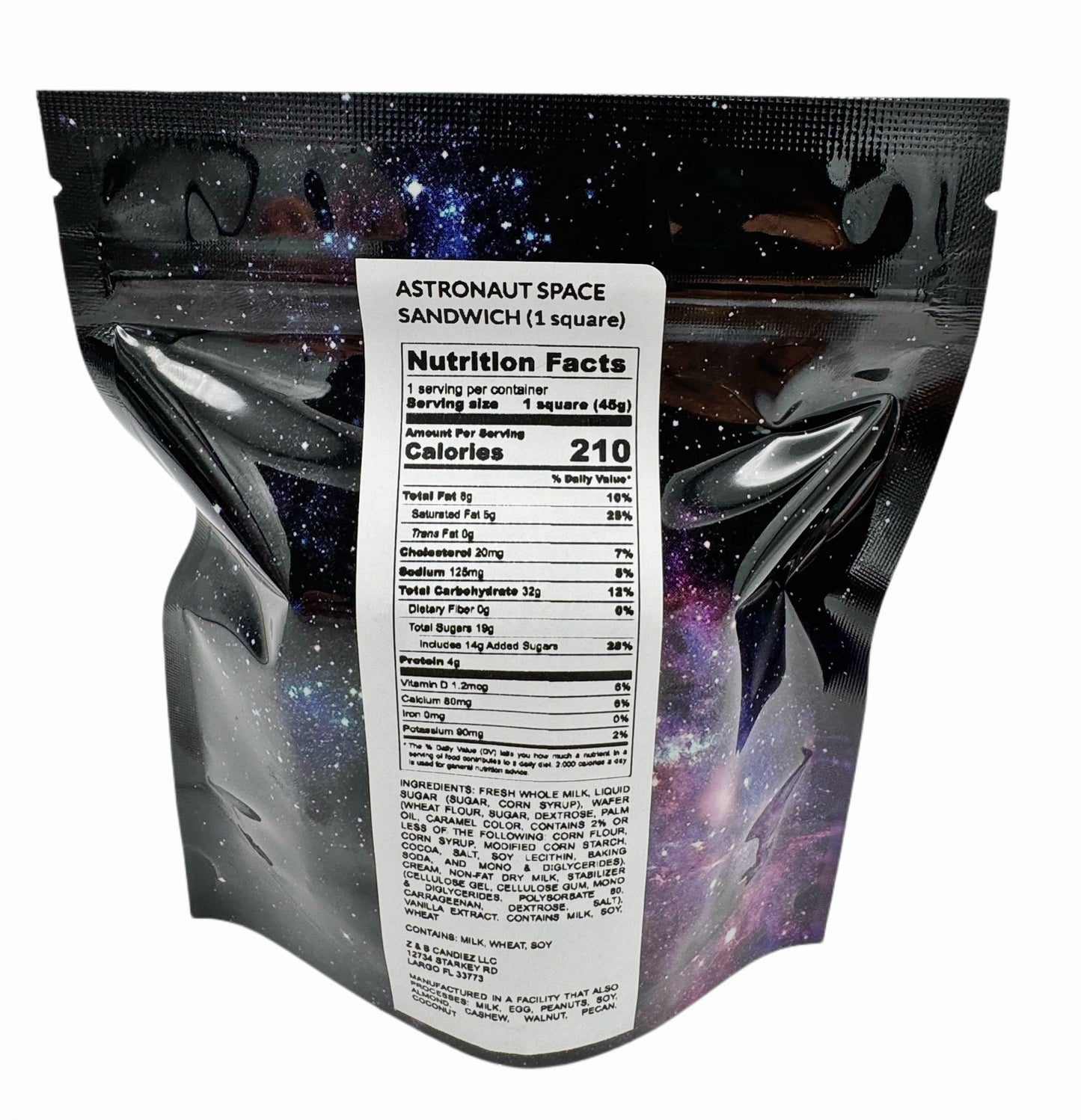 ASTRONAUT SPACE SANDWICH (1 square)